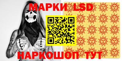 прущие грибы Будённовск