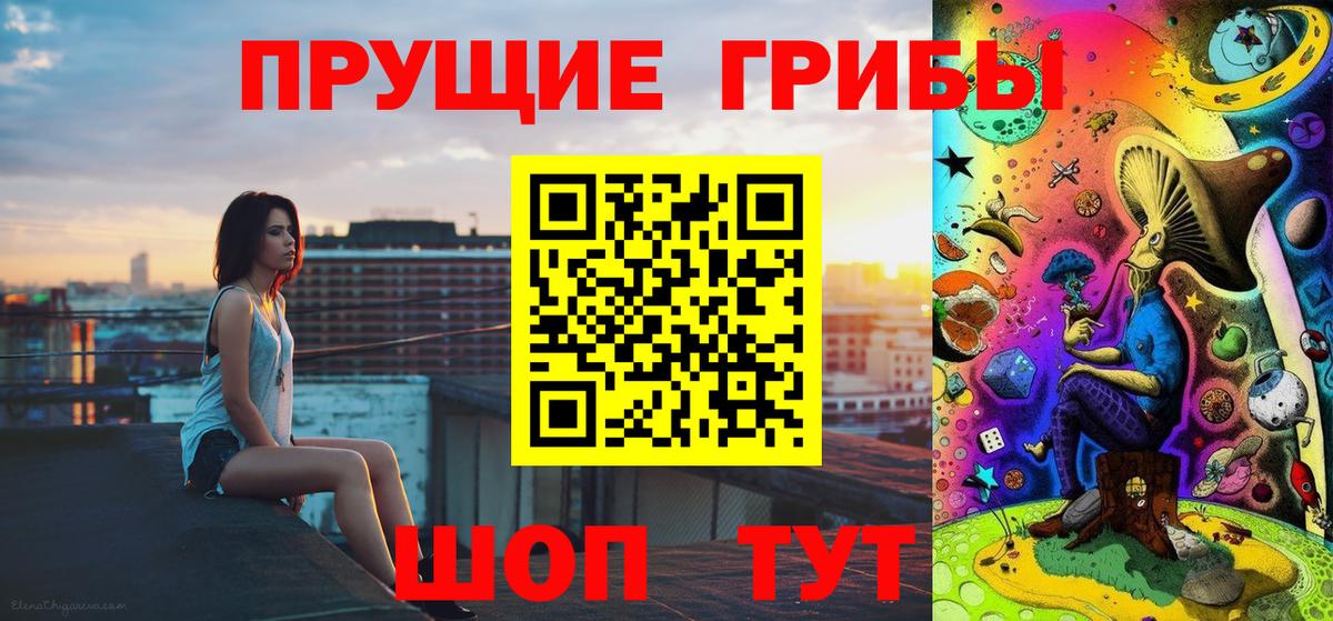 Галлюциногенные грибы Psilocybe Тюмень