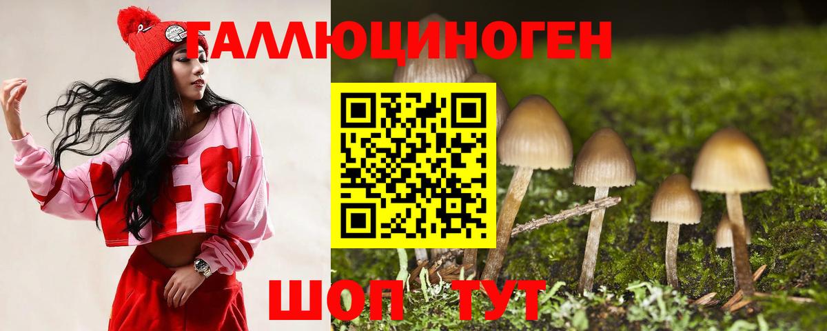 Галлюциногенные грибы Psilocybe  Вход с VPN  Тюмень 